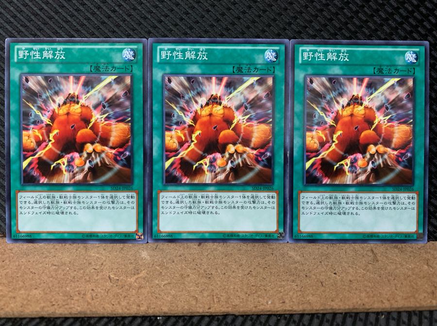 【ぽぽたん】遊戯王 11 野性解放 3枚 ノーマル