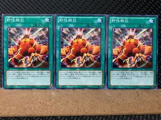【ぽぽたん】遊戯王 11 野性解放 3枚 ノーマル