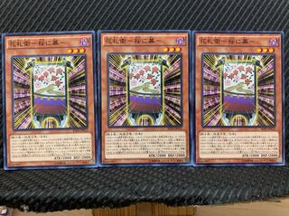 【ぽぽたん】遊戯王 44 花札衛-桜に幕 3枚 ノーマル