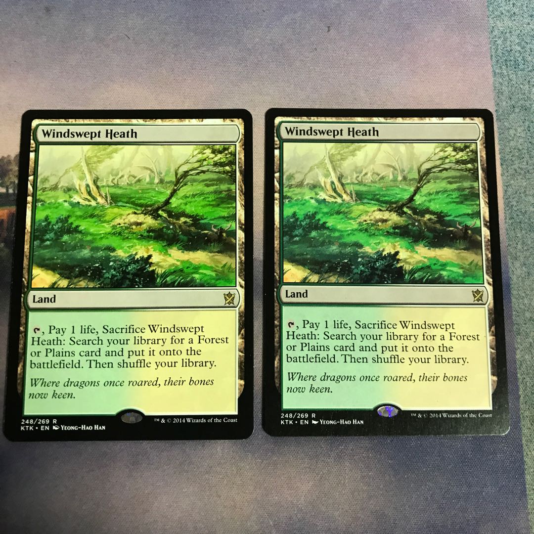 吹きさらしの荒野