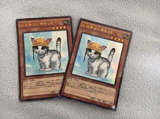 レスキューキャット