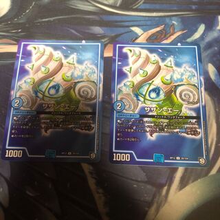 サザンエー　2枚セット