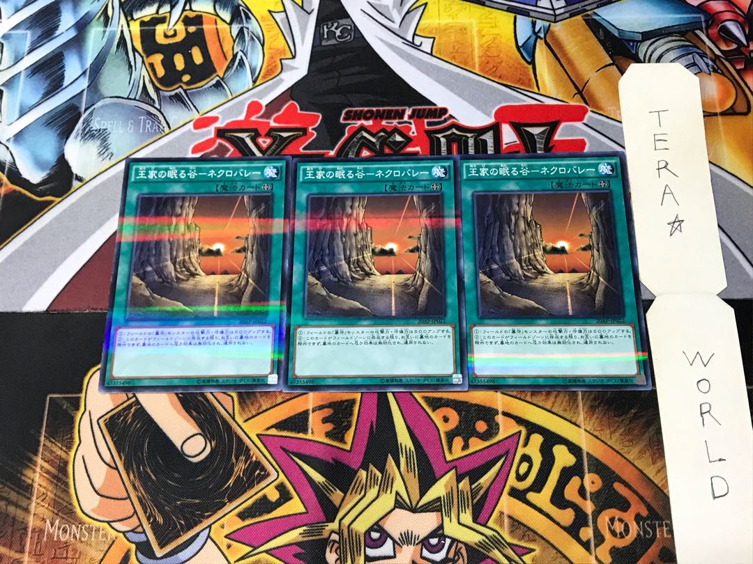 Valley of Sleep of Kings - Necro Valley 20AP 7 Normal Parallel Set of 3 Tera.