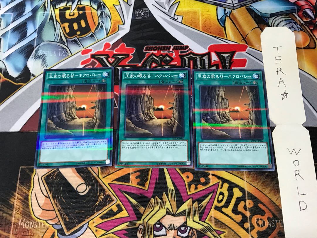 Valley of Sleep of Kings - Necro Valley 20AP 8 Normal Parallel Set of 3 Tera.