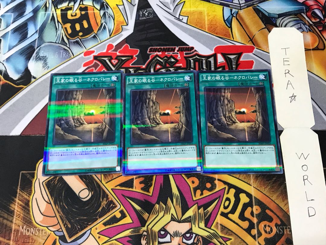 Valley of Sleep of Kings - Necro Valley 20AP 10 Normal Parallel Set of 3 Tera