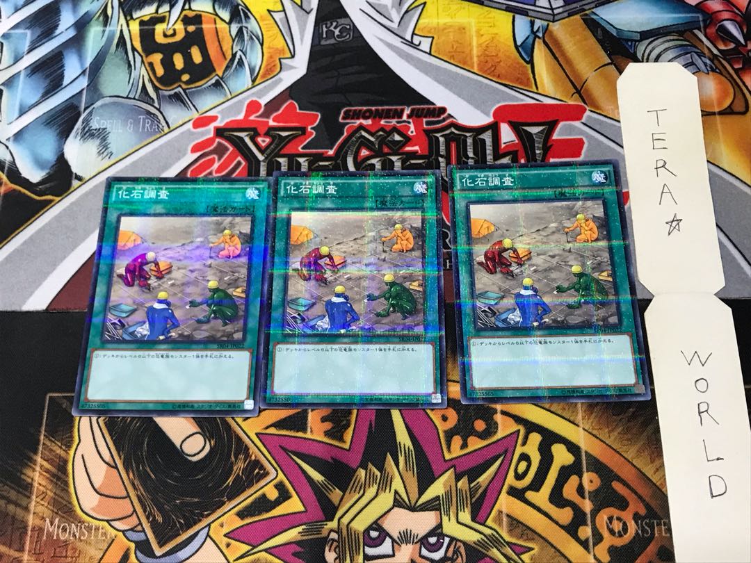 化石調査 SR04 3 ノーマルパラレル 3枚セット てら