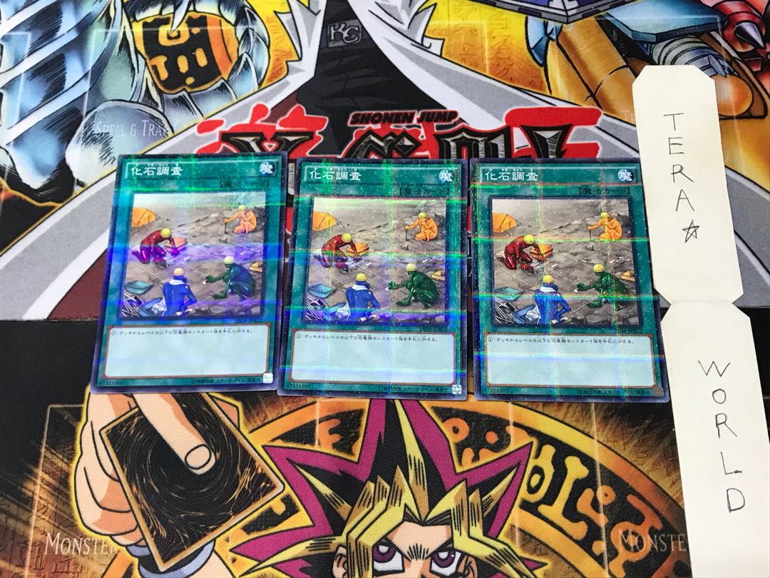 Fossil Dig SR04 5 Normal Parallel Set of 3 Tera