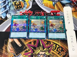 Fossil Dig SR04 5 Normal Parallel Set of 3 Tera