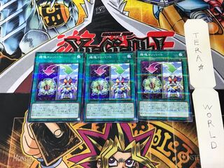 Appliancer Conversion AC01 1 Normal Parallel Set of 3 Tera