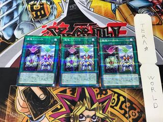 Appliancer Conversion AC01 2 Normal Parallel Set of 3 Tera