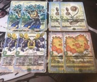 アネモⅢ ワイラビⅣ パキラキⅡ スカップⅢ 各2枚