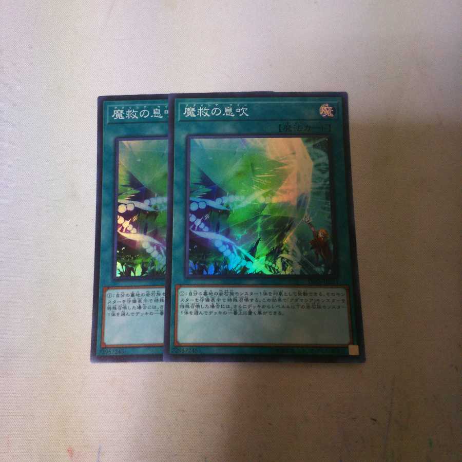 魔救の息吹 2枚