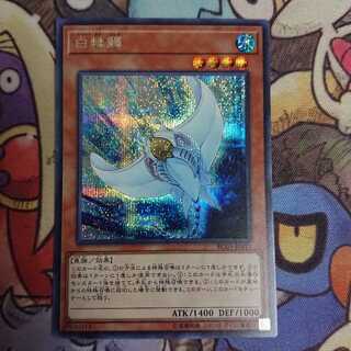 ホワイトスティングレイ/シークレット(RC03-JP011)