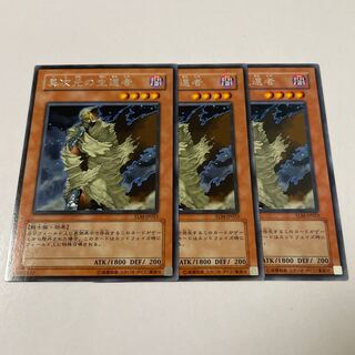 D.D. Survivor Rare JP023 3 copies