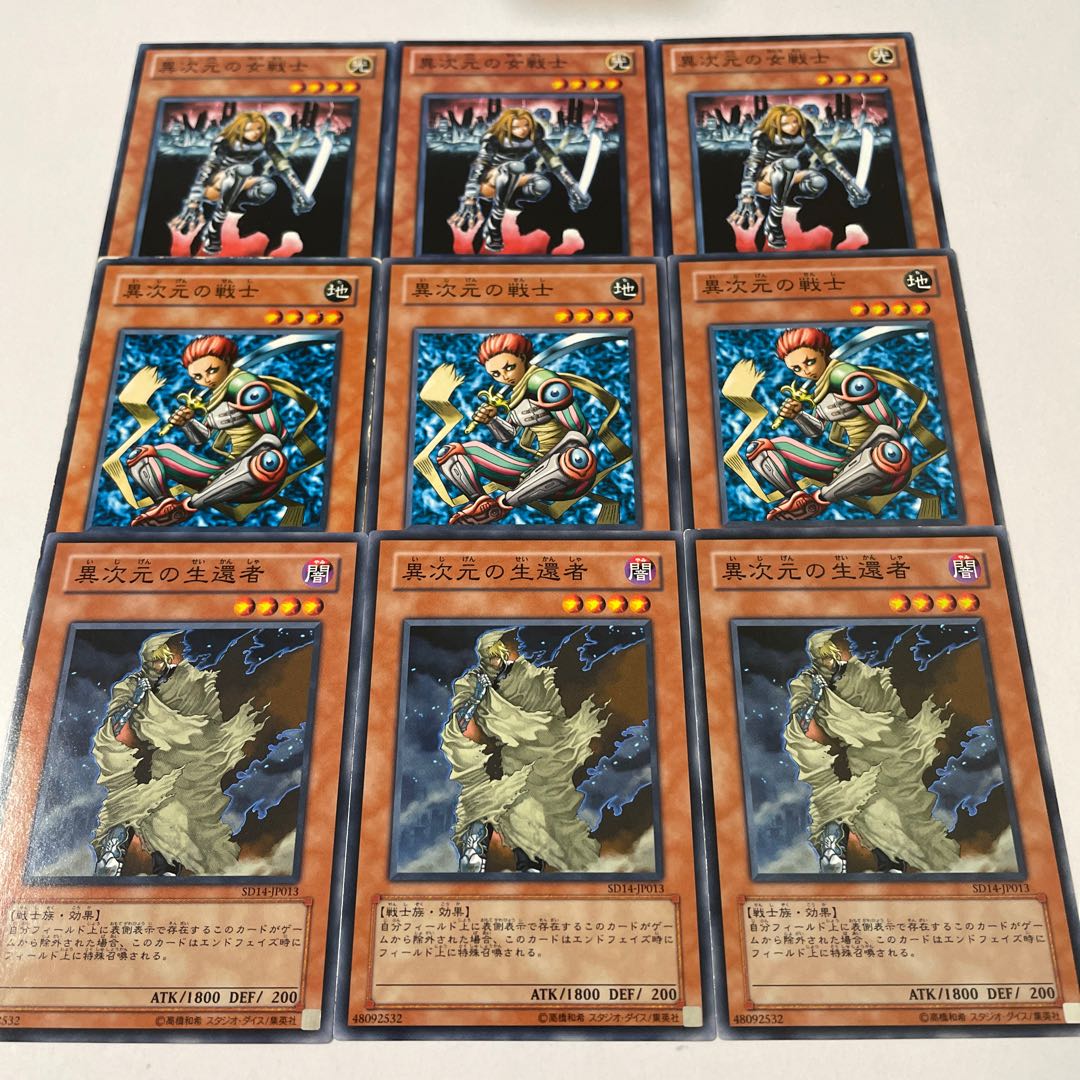 3 D.D. Warrior Lady 3 D.D. Warrior 3 D.D. Survivor 3