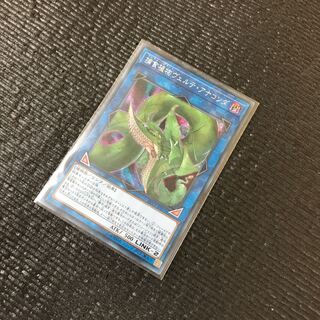 捕食植物ヴェルテ・アナコンダ SE