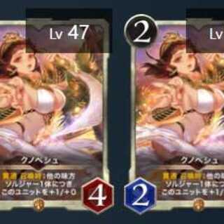 2枚セット　クノペシュ