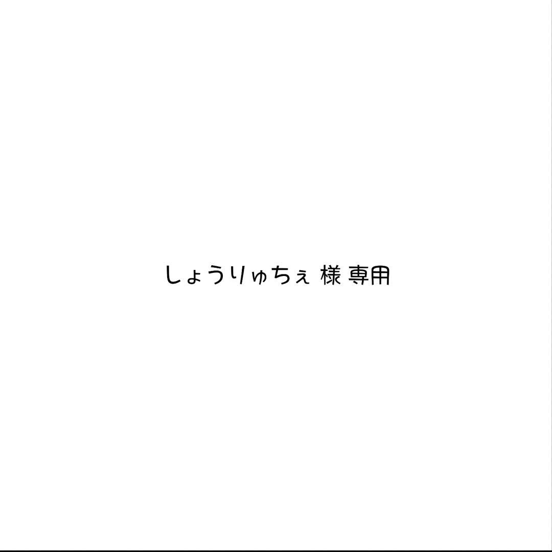 しょうりゅちぇ 様 専用