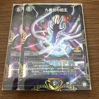 専用     九番目の旧王