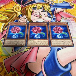 Crystal Rose Normal JP012