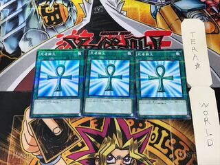 死者蘇生 VS15 3 ノーマルパラレル 3枚セット てら