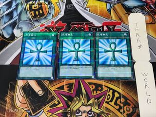 死者蘇生 VS15 5 ノーマルパラレル 3枚セット てら