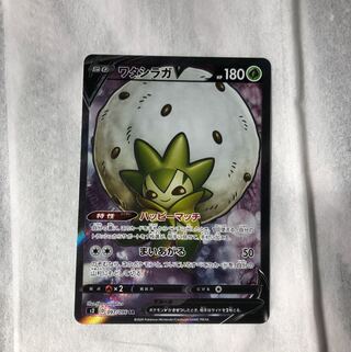 ワタシラガV(SR)