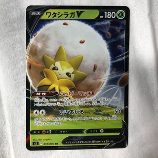 最安値！ワタシラガV(RR)早い者勝ち！