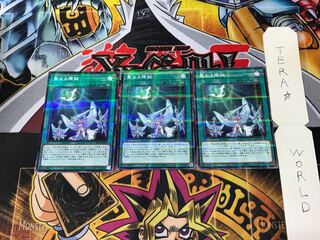 Starry Knight Ceremony SLT1 5 Normal Parallel Set of 3 Tera