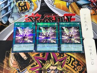 聖蔓の交配 21PP 2 ノーマルパラレル 3枚セット てら