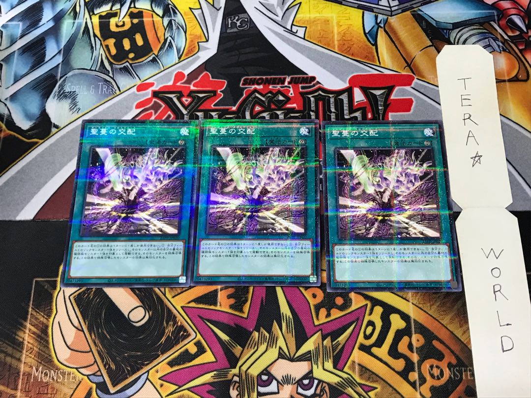 Sunvine Cross Breed 21PP 5 Normal Parallel Set of 3 Tera