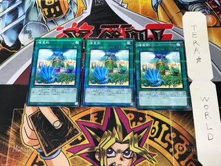 Miracle Fertilizer AT16 1 Normal Parallel Set of 3 Tera.