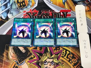 Sky Iris SD29 4 Normal Parallel Set of 3 Tera