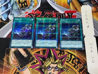 同胞の絆 SR05 5 ノーマルパラレル 3枚セット てら