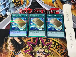 独奏の第1楽章 DBLE 5 ノーマルパラレル 3枚セット てら