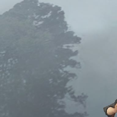 インスペクトボーダー 2枚