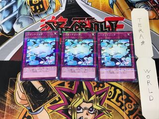 パケットリンク SD33 1 ノーマルパラレル 3枚セット てら