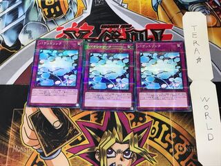 パケットリンク SD33 2 ノーマルパラレル 3枚セット てら