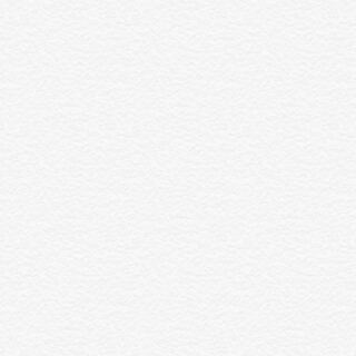 緑ジョーカーズ   ガンバトラーセット 1枚