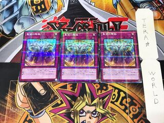 Starry Knight Arrival SLT1 2 Normal Parallel Set of 3 Tera