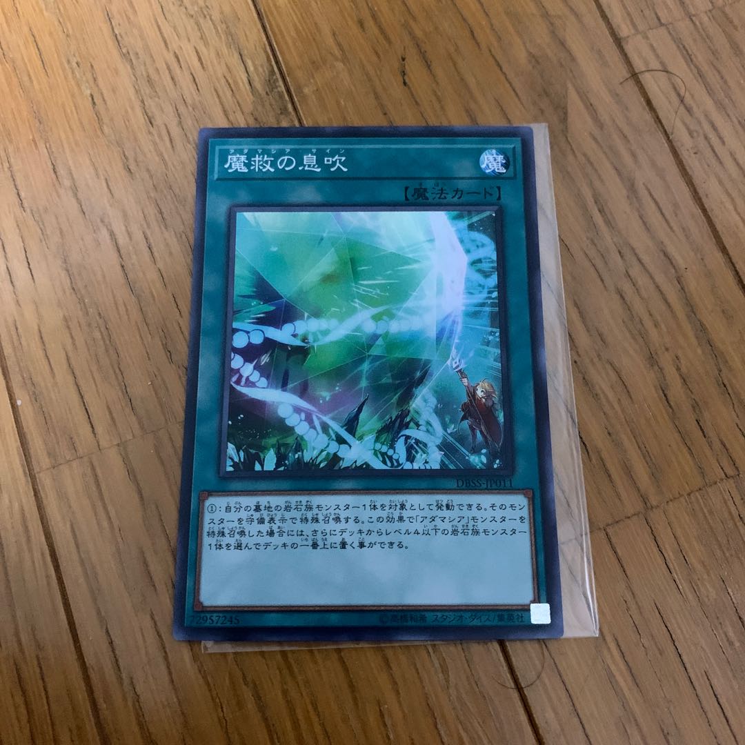 魔救の息吹　スー1枚