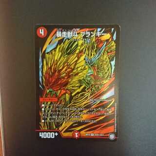 ブランキー シク 1枚