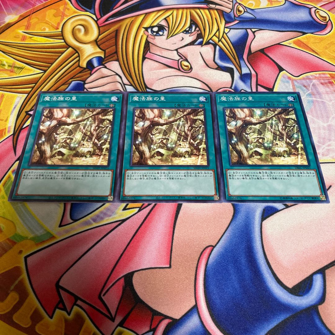 Secret Village of the Spellcasters Normal JP043