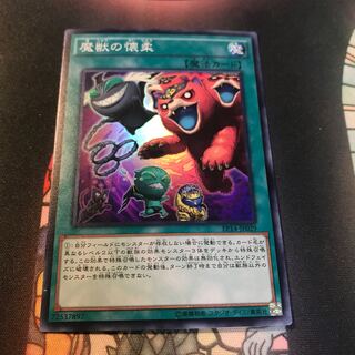 遊戯王 魔獣の懐柔 スーパー