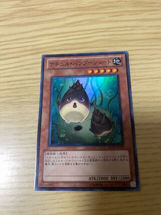 Naturia Bamboo Shoot Super Rare JP029 1枚