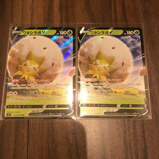 ワタシラガV 2枚