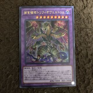 捕食植物トリフィオヴェルトゥム #ぽんこつ UR1枚