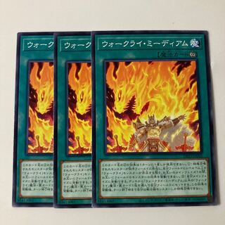 9690 ウォークライ・ミーディアム ノーマル JP065