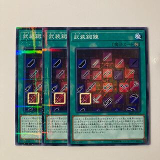 9691 武装鍛錬 パラレル ノーマル JP021