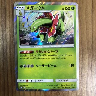 同梱で値引きあり　メガニウム　そうじゅくハーブ